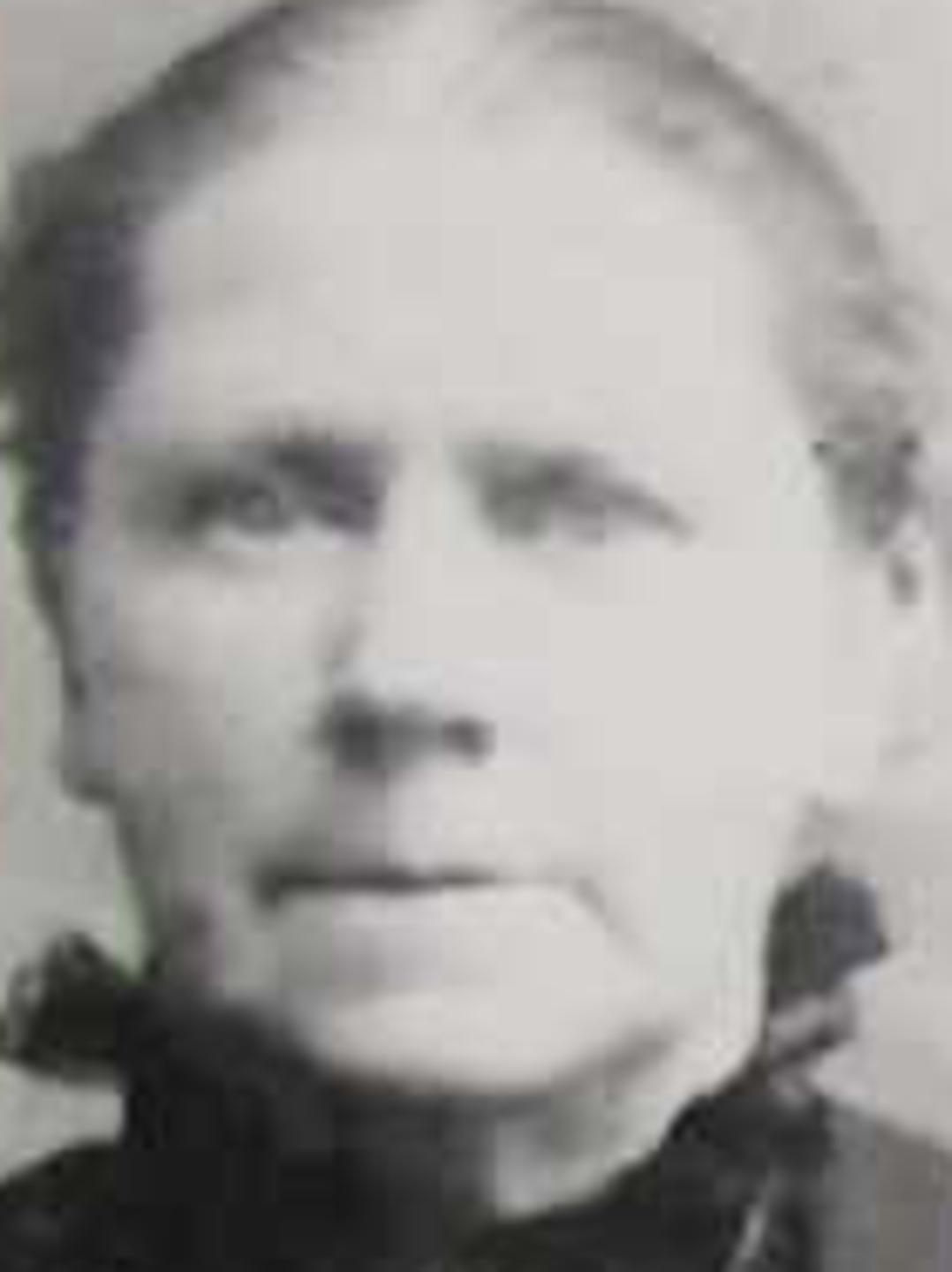 Caroline Abigail Mayhew (1842 - 1924) Profile